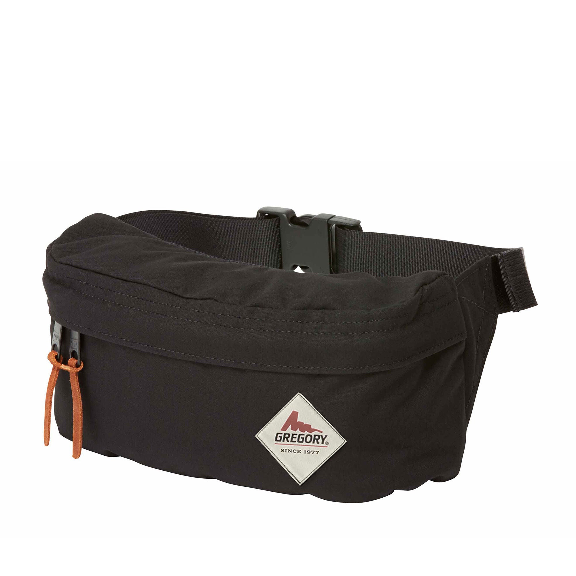 Gregory sunbird backpack sale