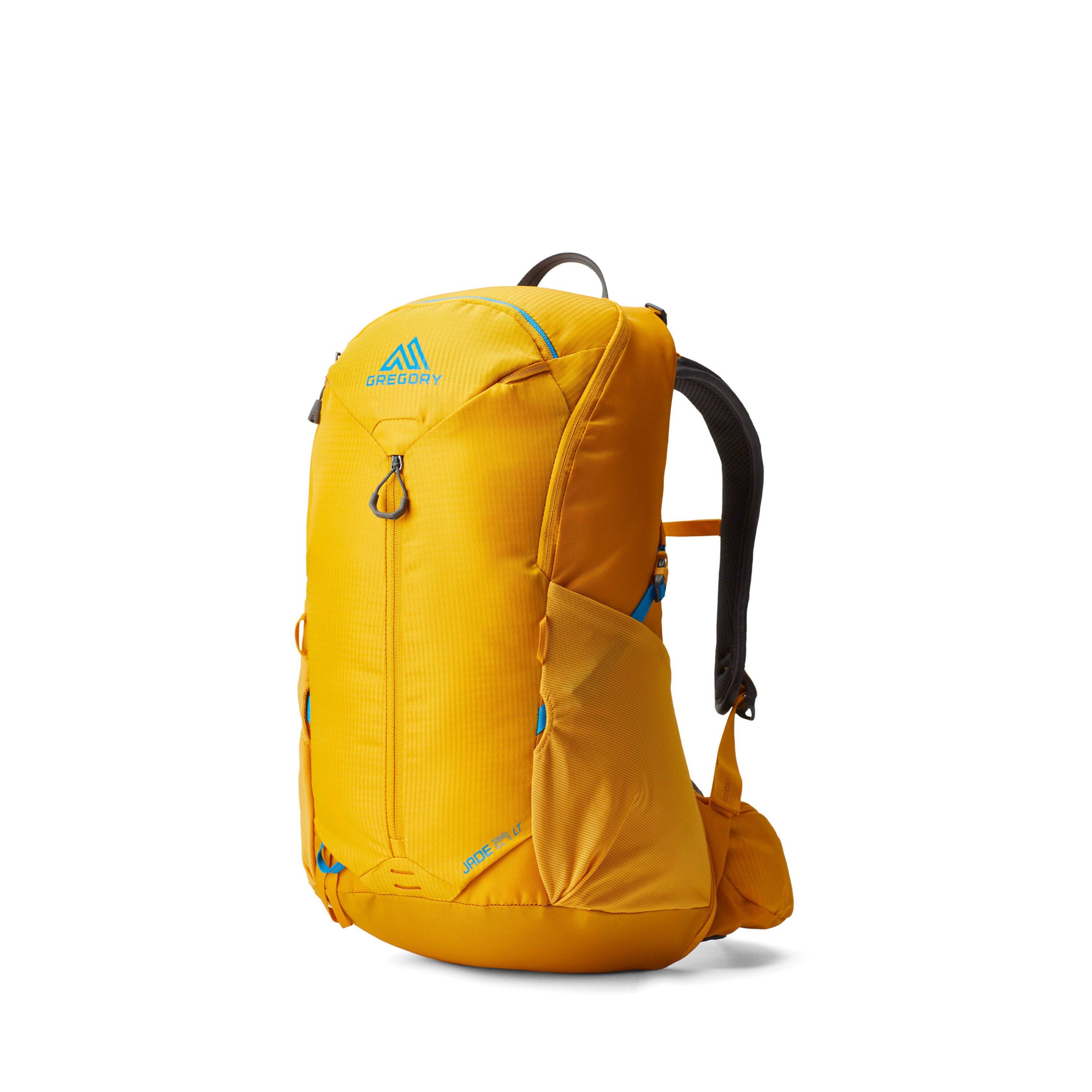 Day pack gregory hot sale