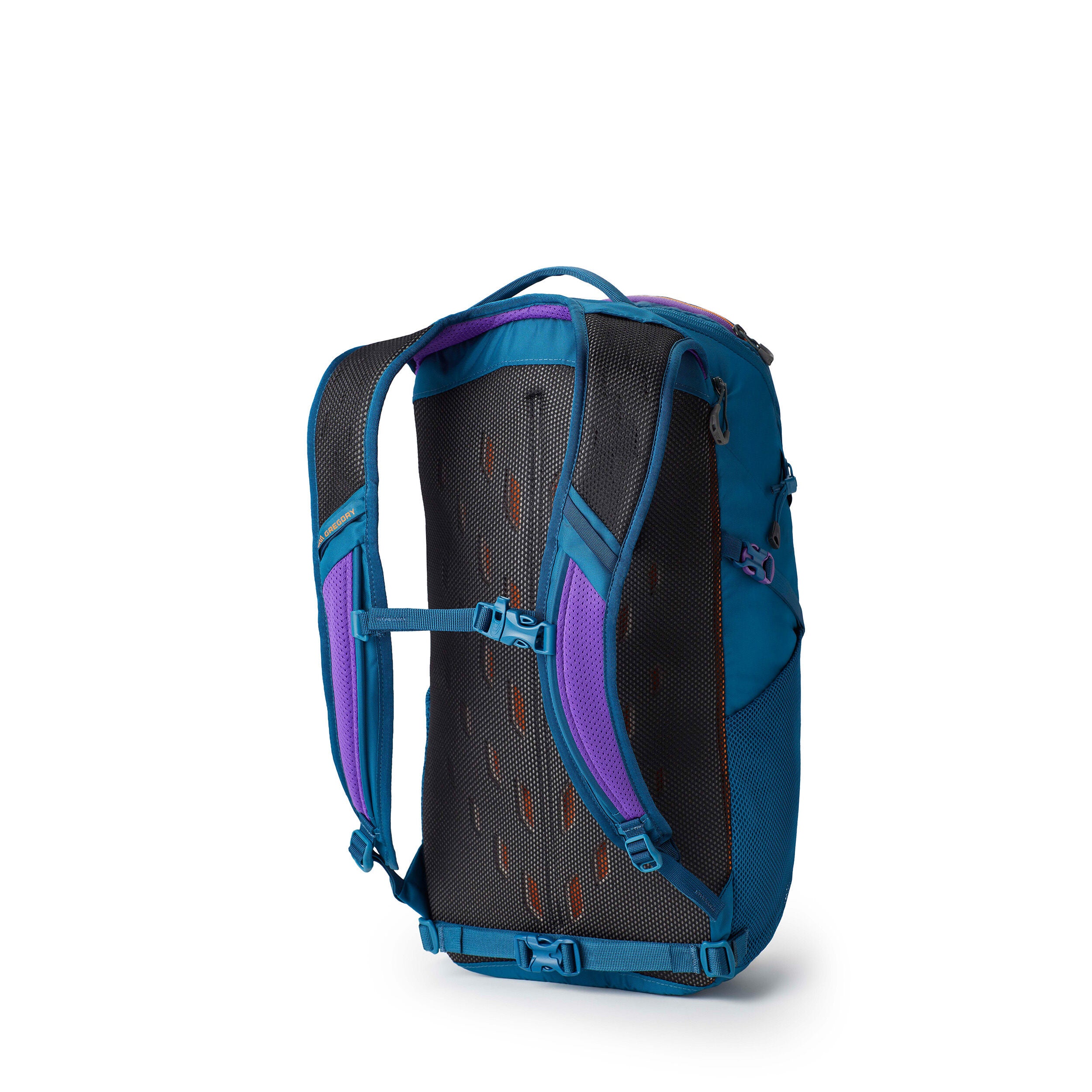 Nano 24 Everyday Pack Gregory Gregory Mountain Products