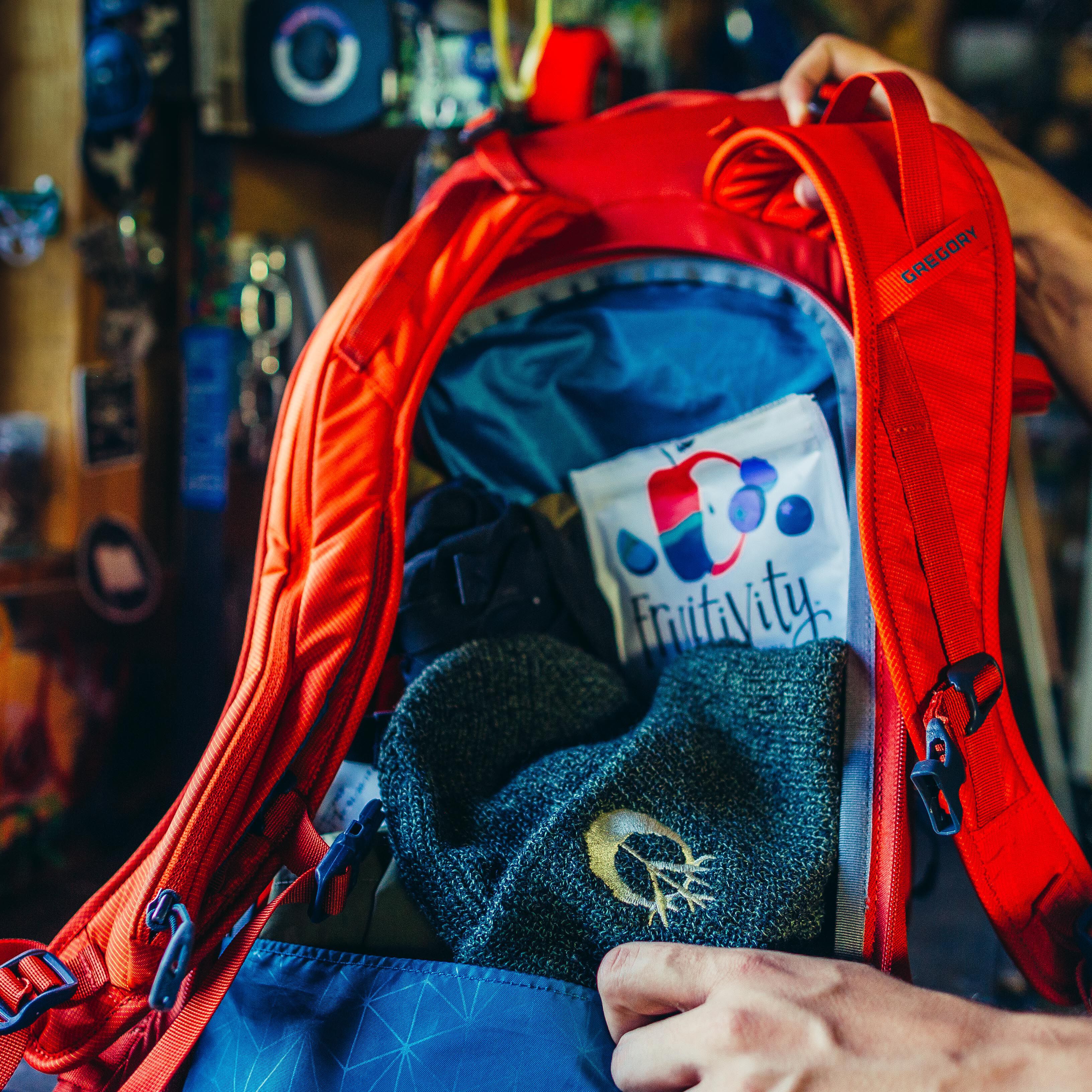 Gregory targhee 45 snow pack clearance
