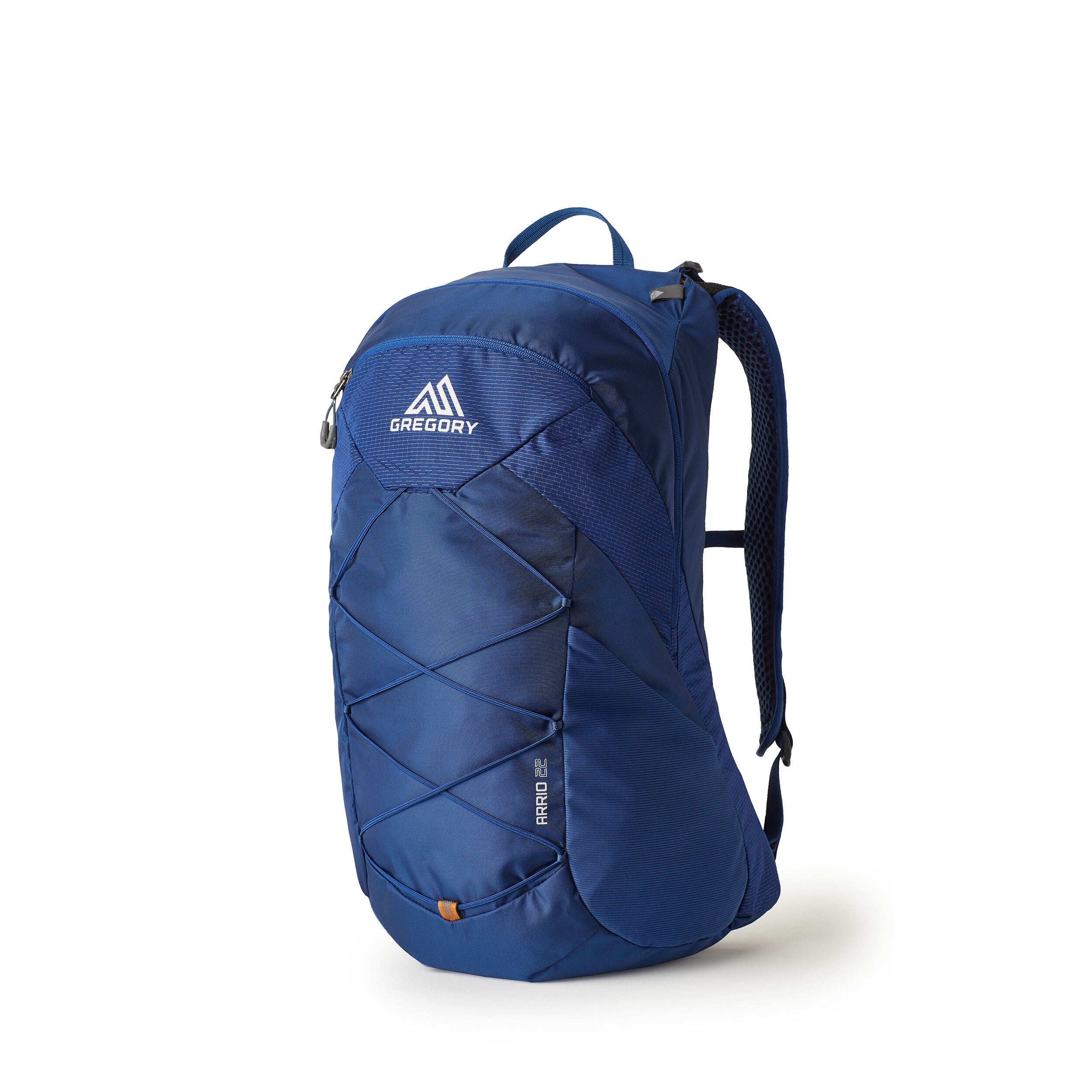 Arrio 22 Plus Size in the color Empire Blue. image number 0