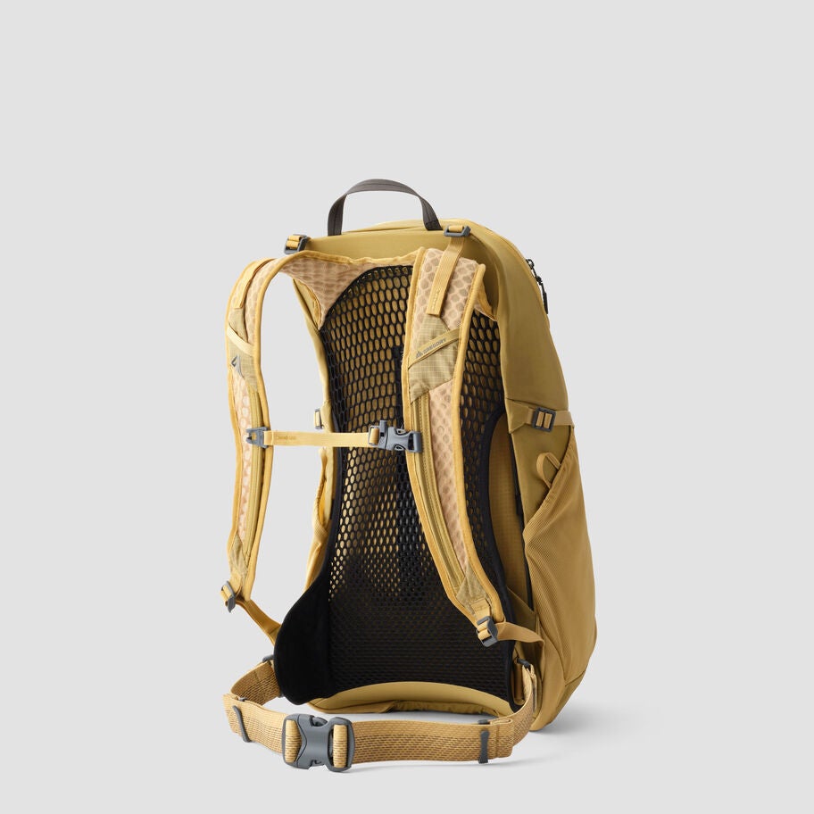 Arrio 24 in the color Amber Haze. image number 1