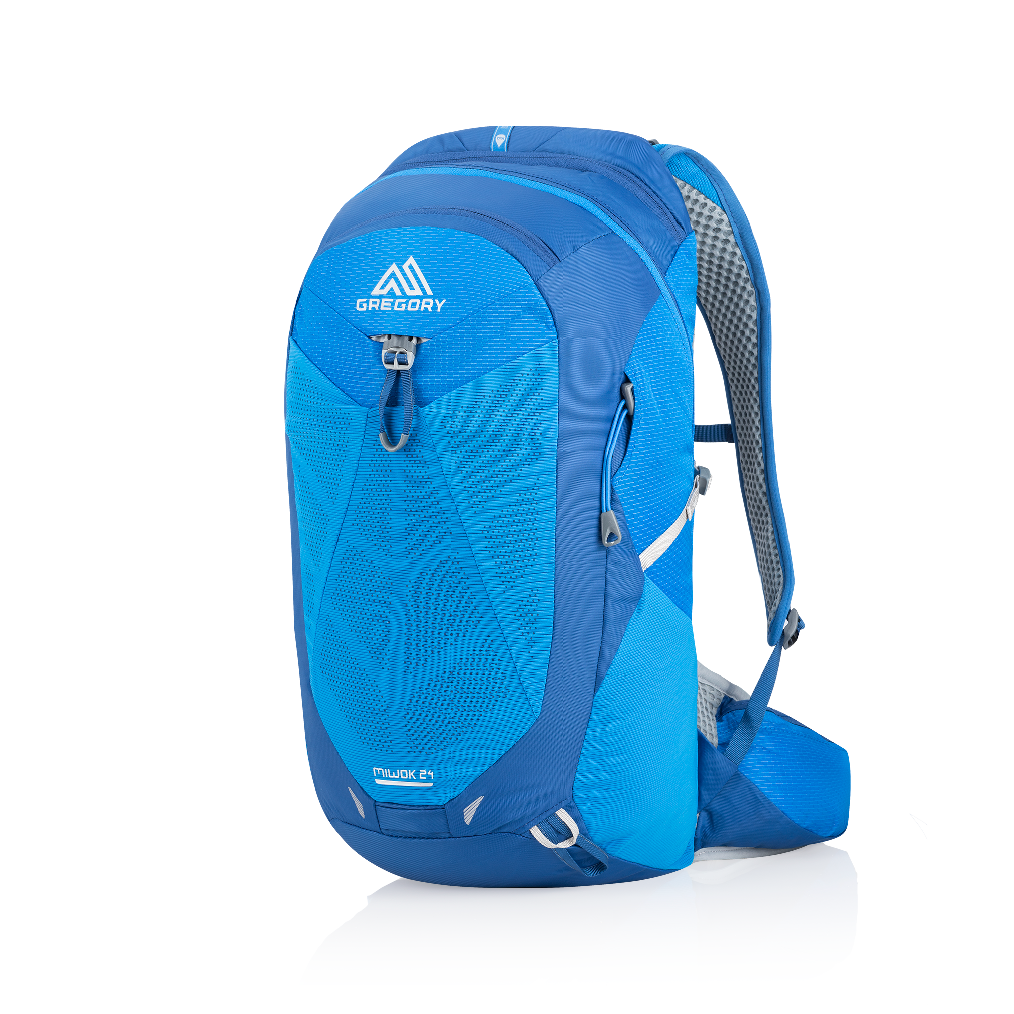 Gregory miwok on sale 24l backpack