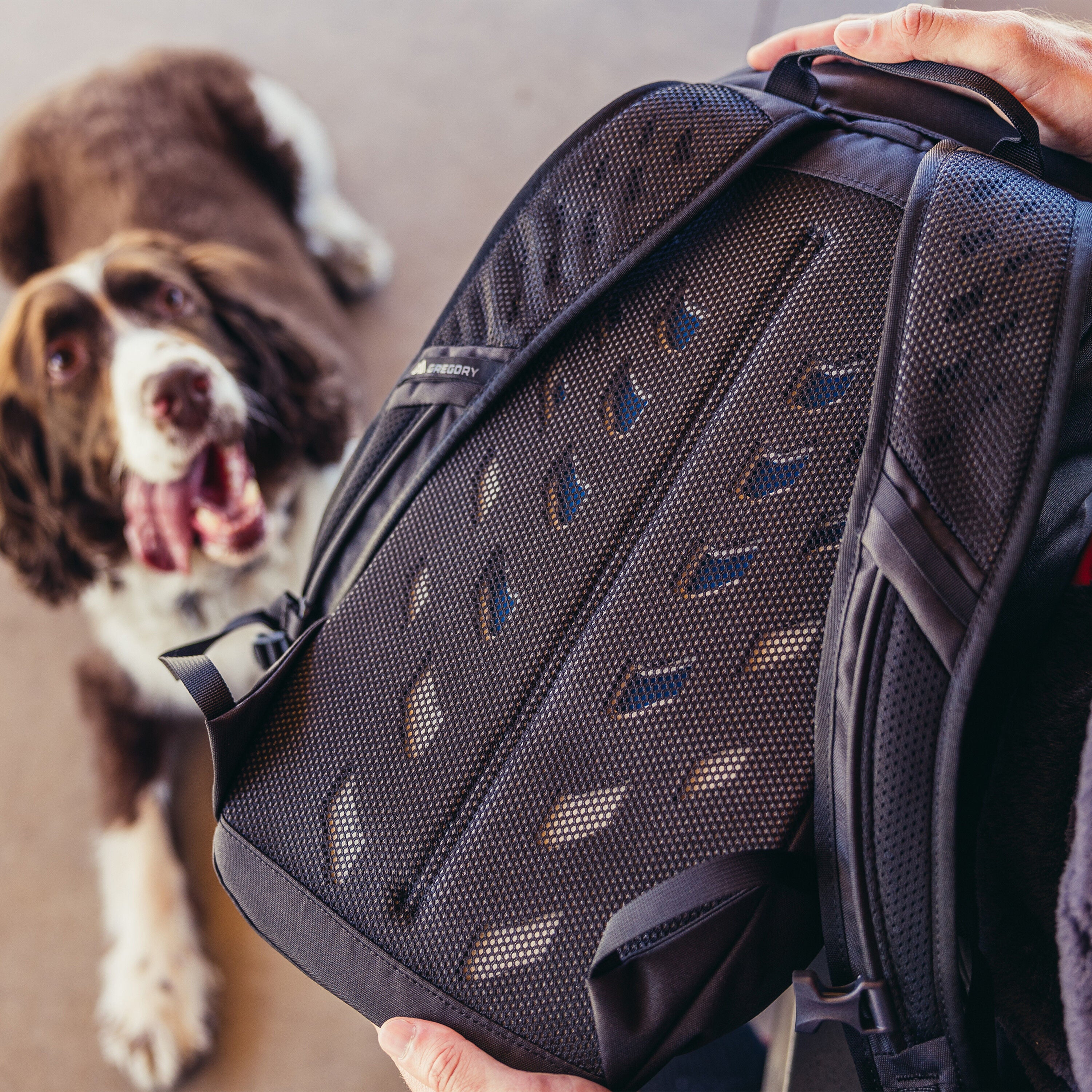 [美品] Gregory Nano 16 Bright Navy Gregory Nano 16 Backpack - Als.com