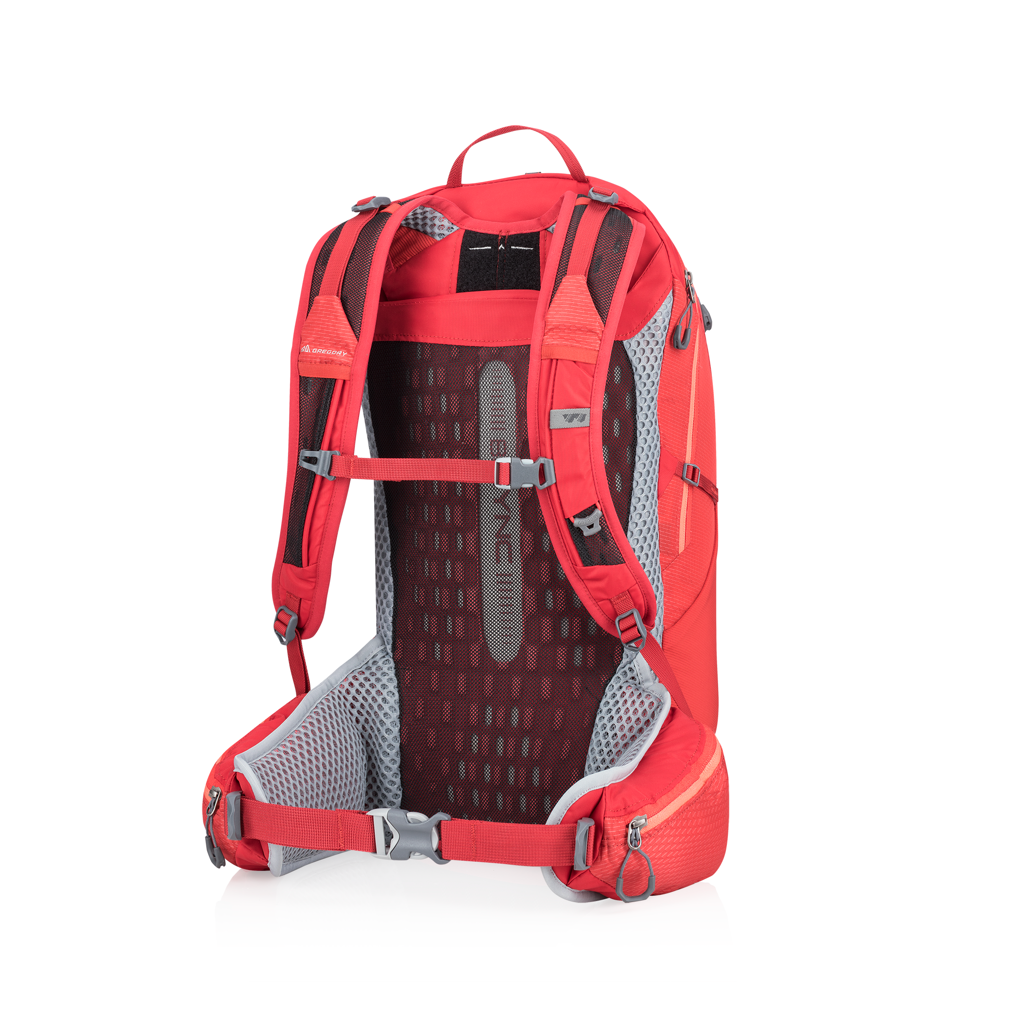 Gregory Maya - Thumbnail 4