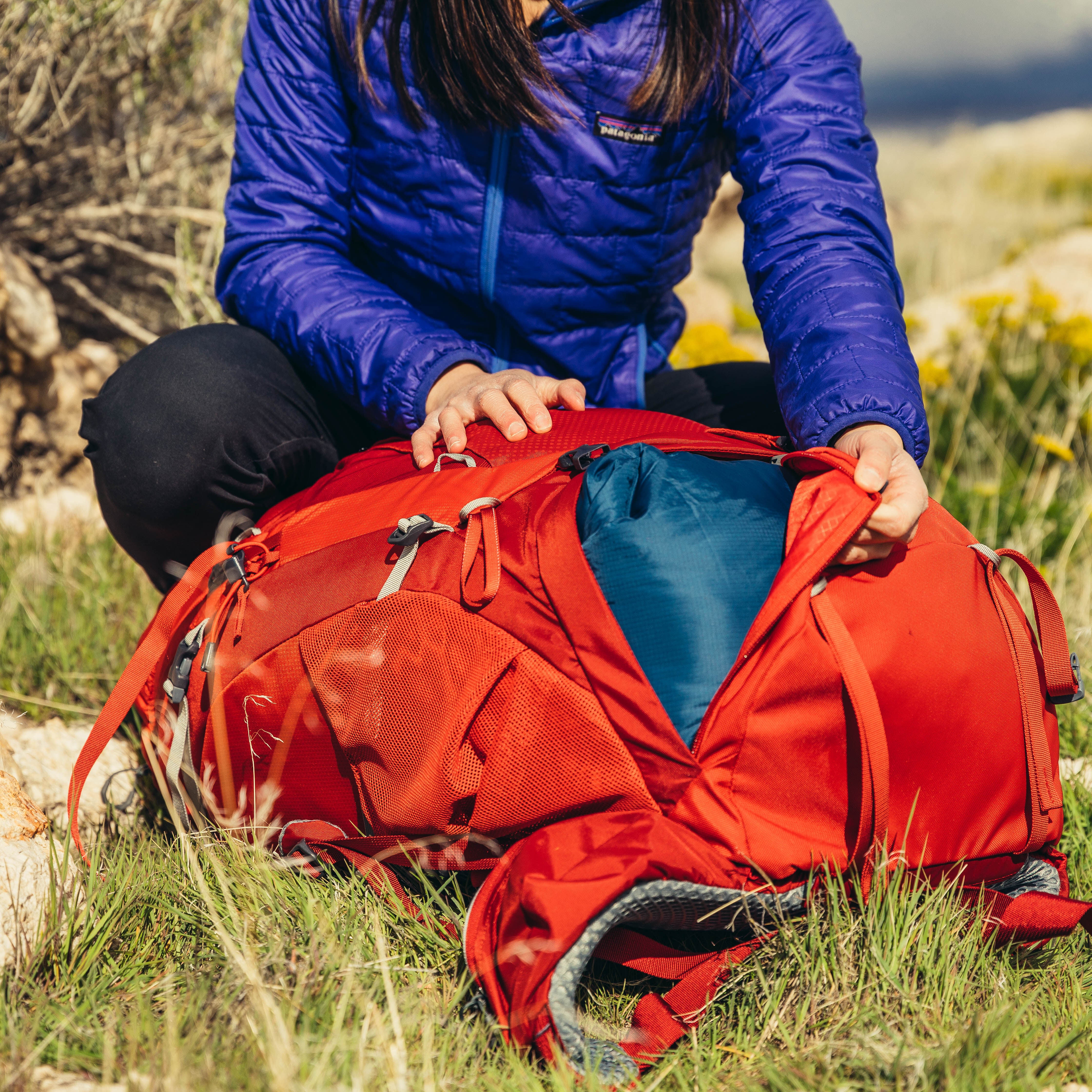 Patagonia plus size online