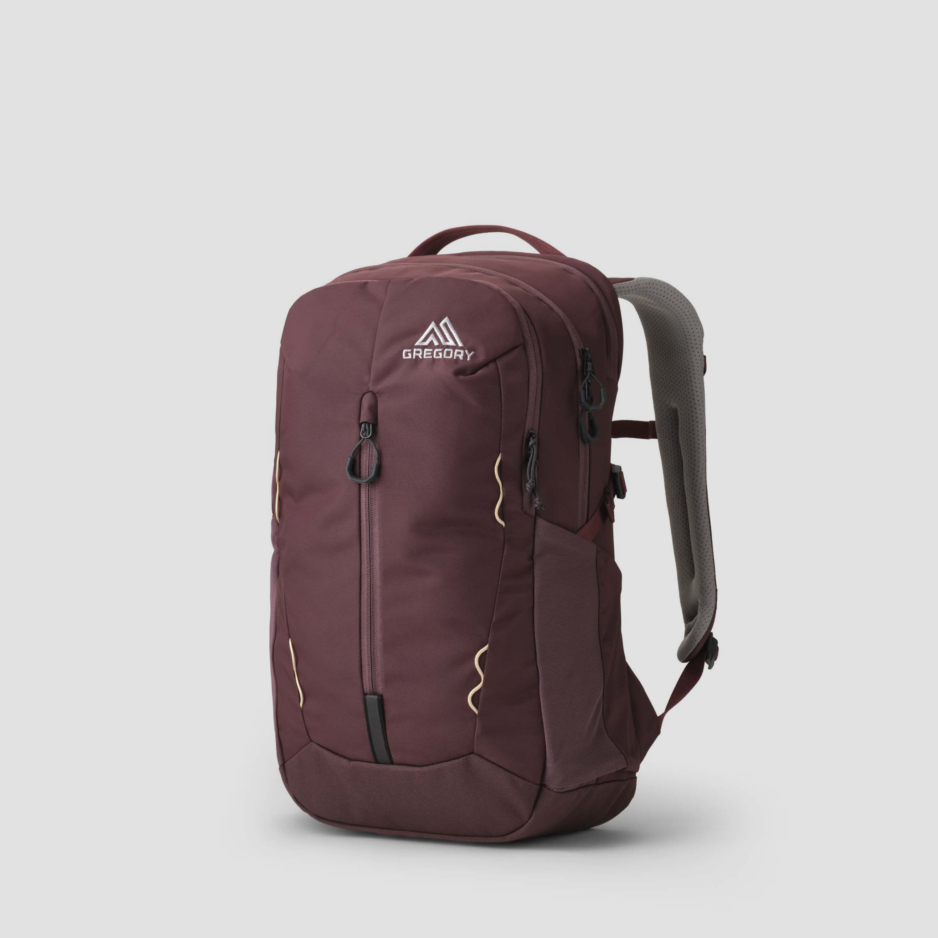 Gregory Terros 25 Backpack | Travel Backpack from Gregory