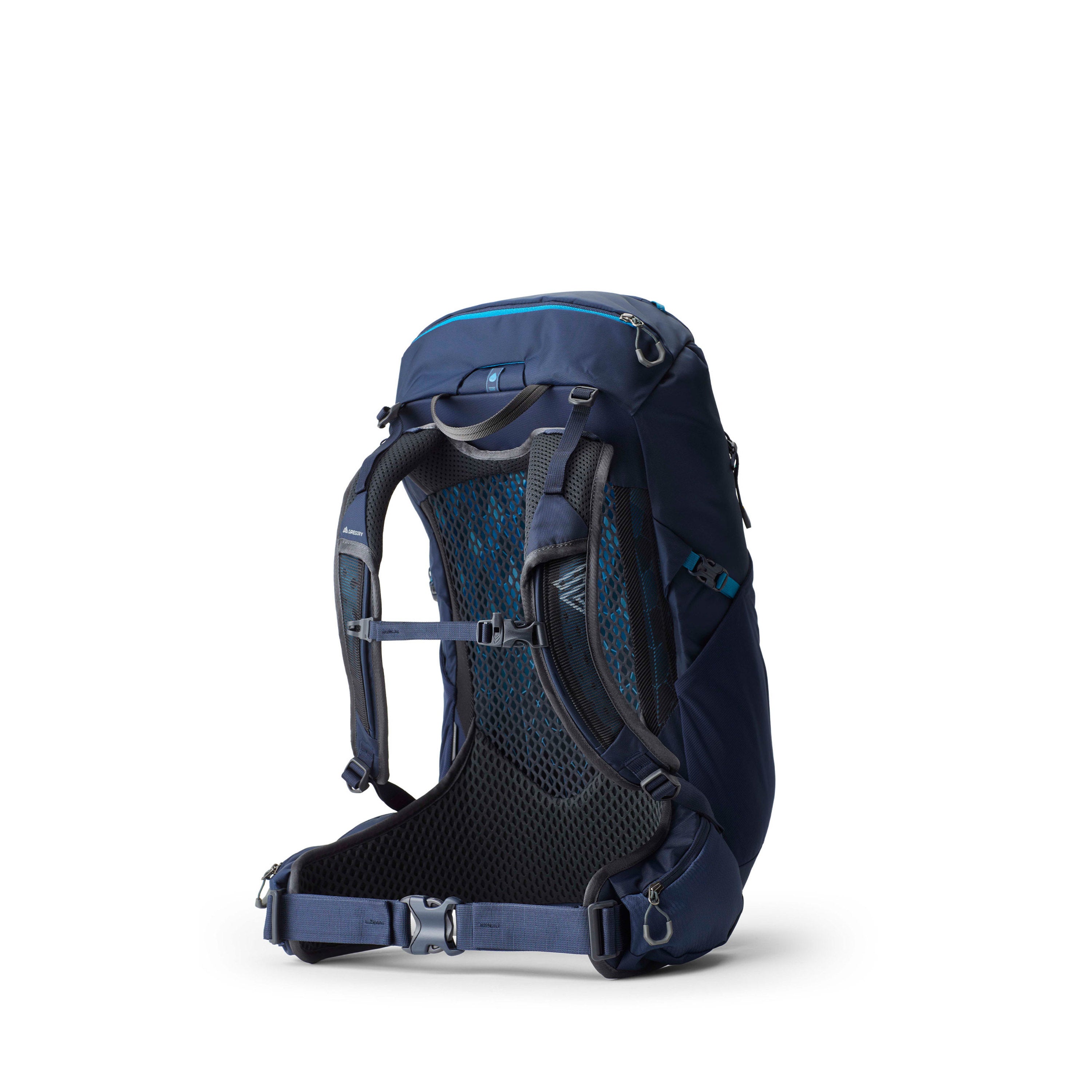 Amazon.com | Gregory (Day Pack) official Black Backpack