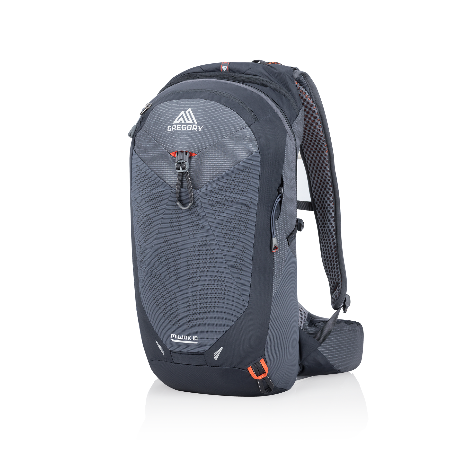 GMP-S19-