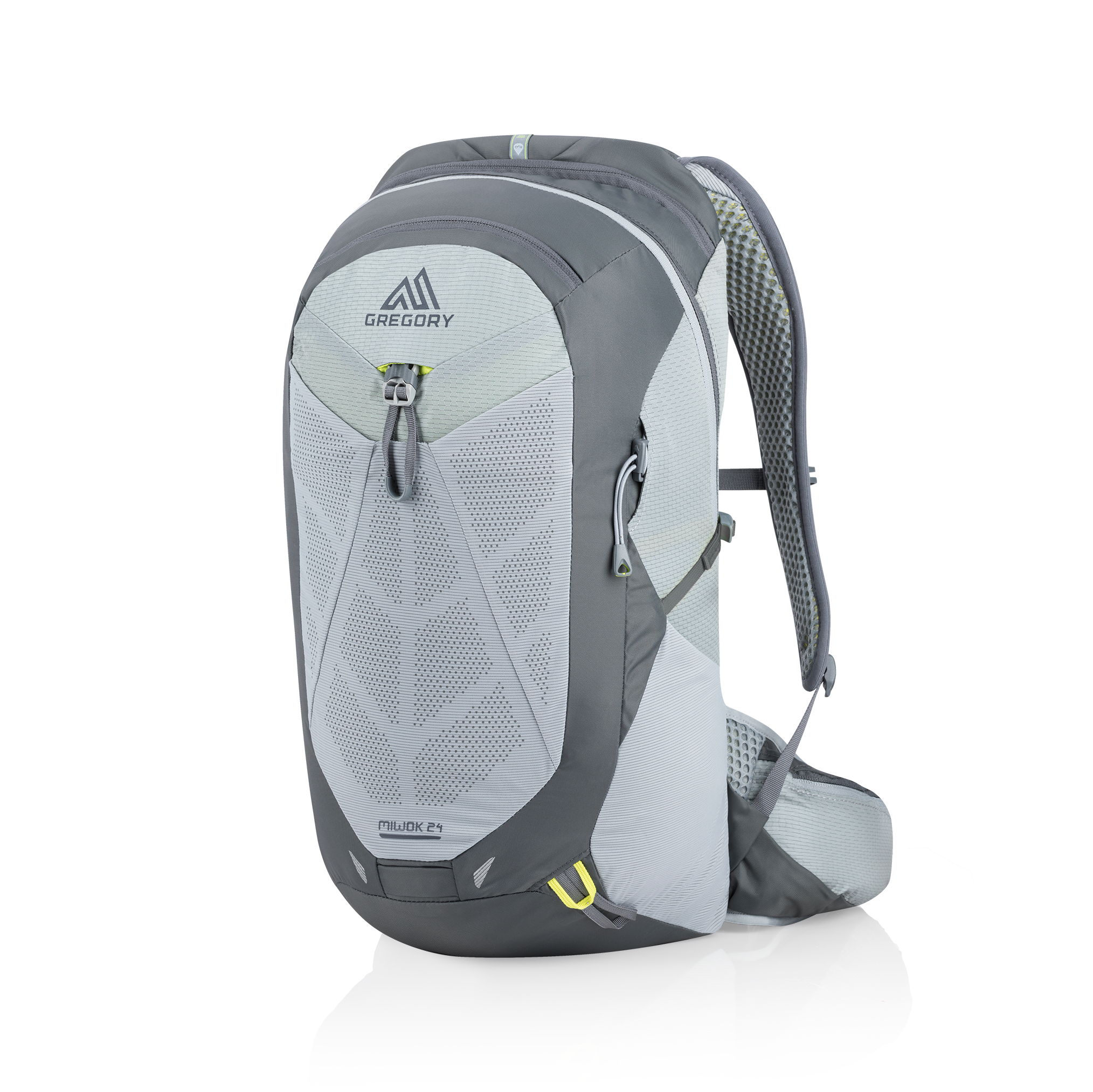 GMP-S19-
